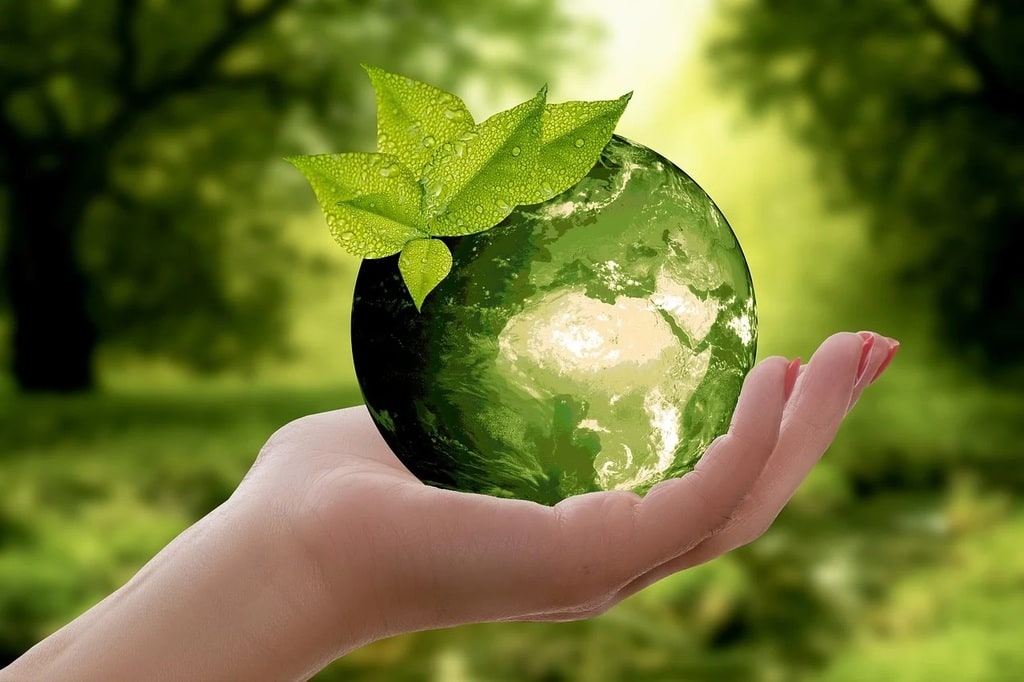 Réchauffement climatique et santé : quelles conséquences ?